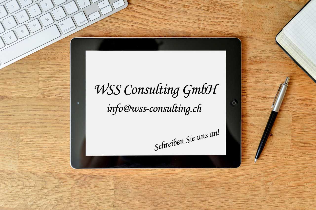 wss-consulting-gmbh-kontakt