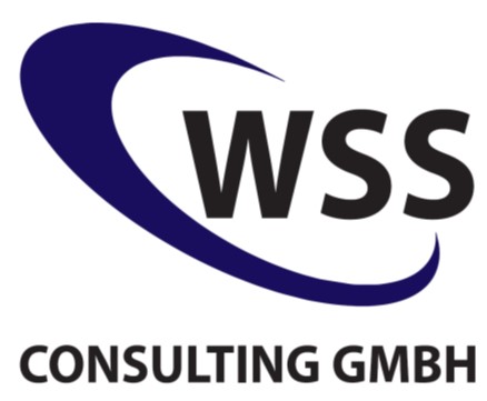WSS Consulting3
